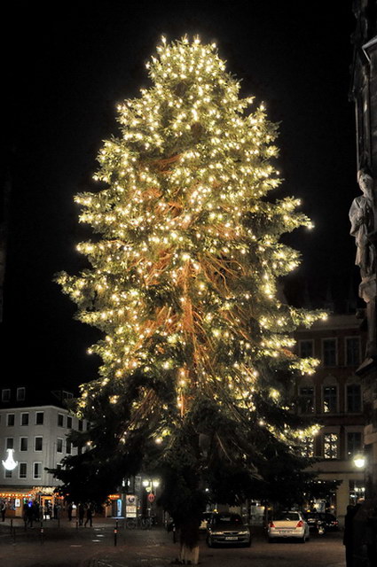 Silvester   002.jpg